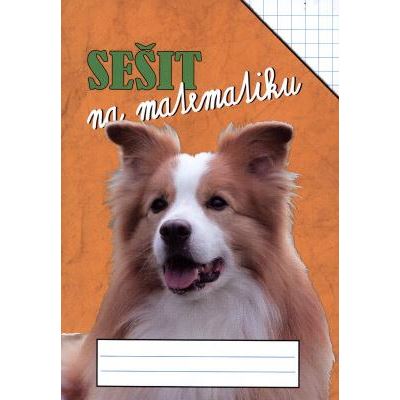 Sešit na matematiku - čtvercová síť 7 x 7mm