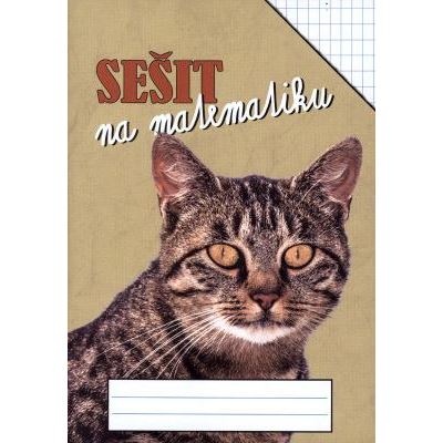 Sešit na matematiku - obdélníková síť 5 x 7mm