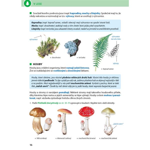 Přírodověda 4/1 - Rozmanitost přírody