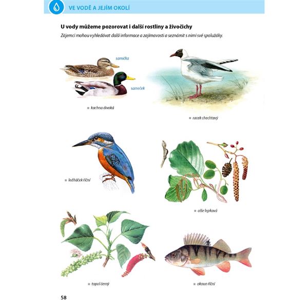 Přírodověda 4/1 - Rozmanitost přírody