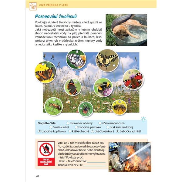Přírodověda 4/2 - Rozmanitost přírody