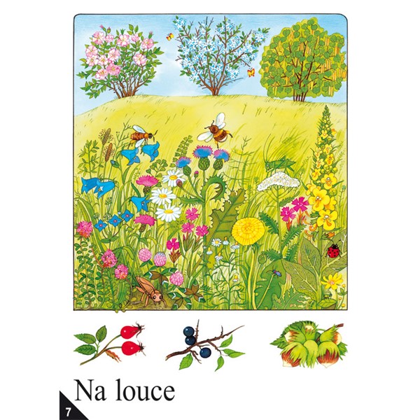 Soubor nástěnných obrazů pro Prvouku ve 2. ročníku