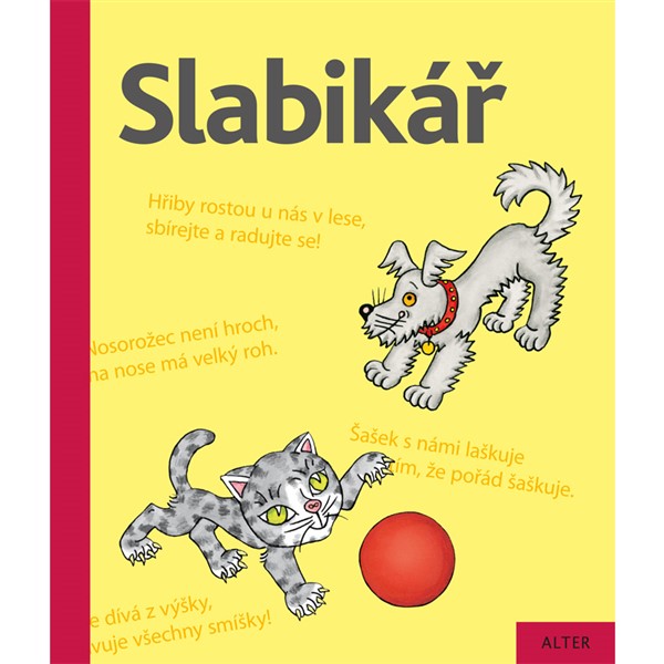 Slabikář - elektronická učebnice (1 rok)