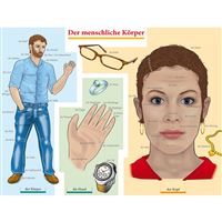 Obraz "DER MENSCHLICHE KÖRPER" NJ