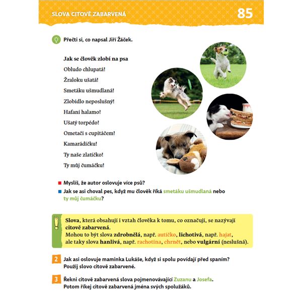 Český jazyk 2 (nová generace) - Učebnice