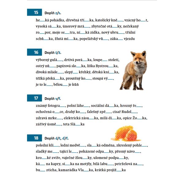 Procvičování češtiny - Párové souhlásky, vlastní jména, koncovky podstatných jmen…