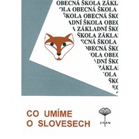 Co umíme o slovesech
