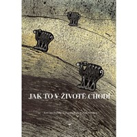 Jak to v životě chodí