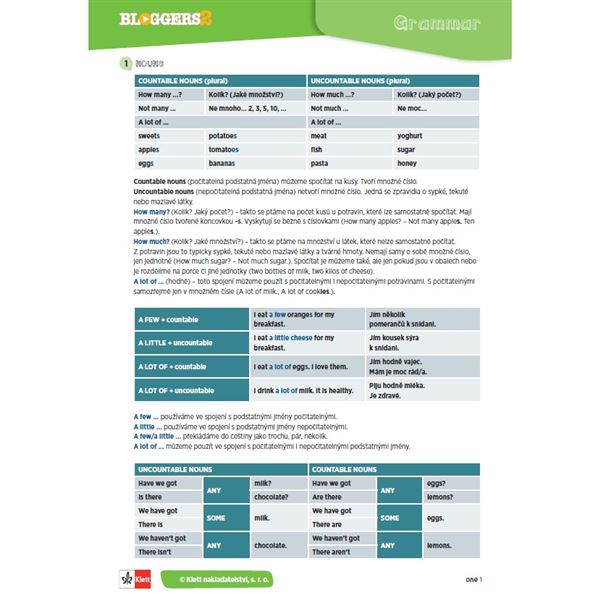Bloggers 2 (A1.2) – gramatický přehled (leporelo)