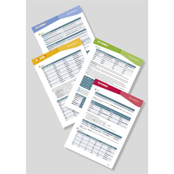 Bloggers 1-4 (A1-A2) – gramatické přehledy 1. - 4. díl