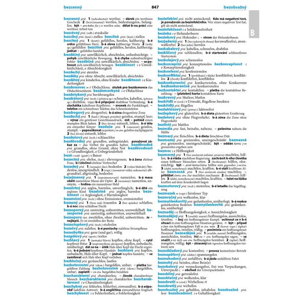 N-Č a Č-N velký slovník (4. vydání)