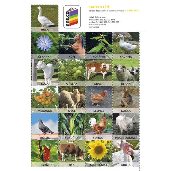 Já a můj svět 2- pexeso Statek v létě