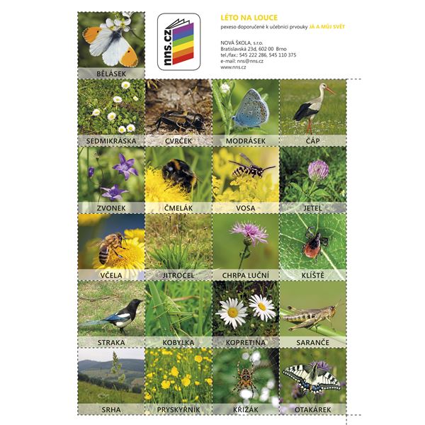 Já a můj svět 2- pexeso Léto na louce