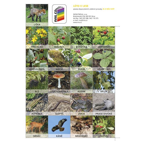 Já a můj svět 2- pexeso Léto v lese