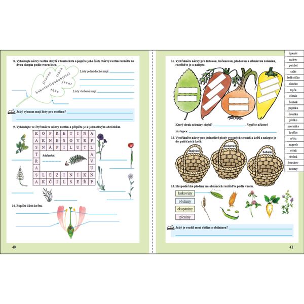 Prvouka 3 - Pracovní sešit (barevný)