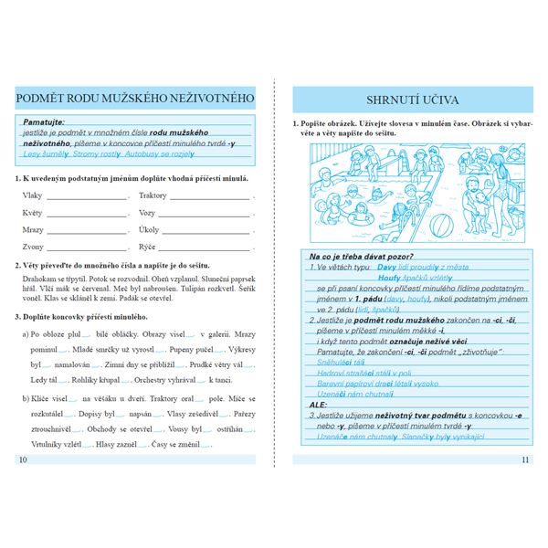 Procvičujeme shodu přísudku s podmětem