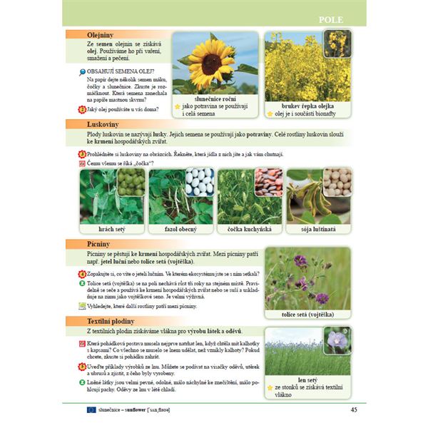 Přírodověda 4 - učebnice (Porozumění v souvislostech)