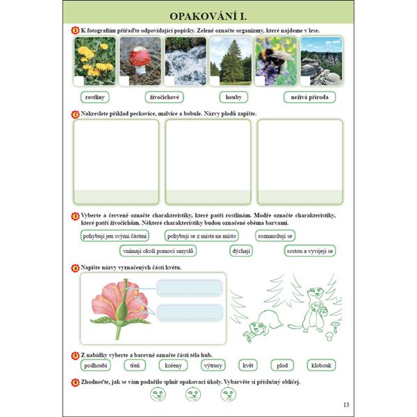 Přírodověda 4 - barevný pracovní sešit (Porozumění v souvislostech)