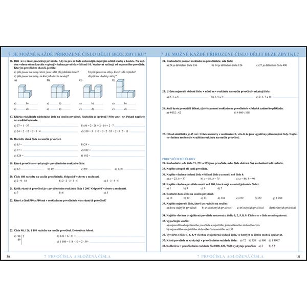 Matematika 6 - Dělitelnost - Pracovní sešit