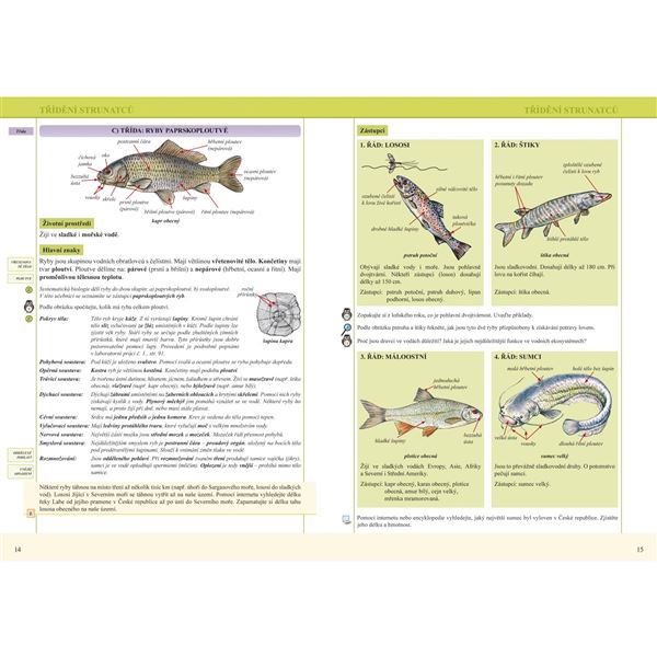 Přírodopis 7/1 - Strunatci - učebnice