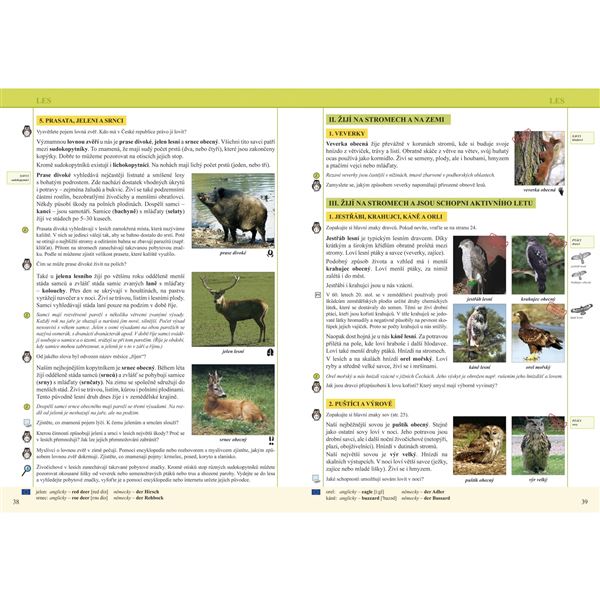 Přírodopis 7/1 - Strunatci - učebnice