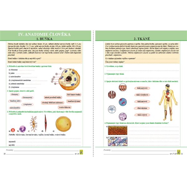 Přírodopis 8 - Biologie člověka - pracovní sešit (barevný)