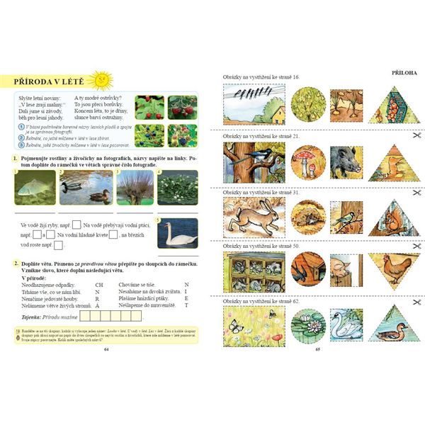 Prvouka 2 - Pracovní sešit (Duhová řada), Čtení s porozuměním