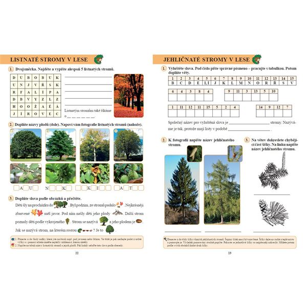 Prvouka 2 - Pracovní sešit (Duhová řada), Čtení s porozuměním