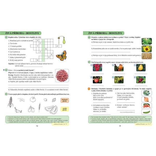 Prvouka 3 - Pracovní sešit, Čtení s porozuměním 