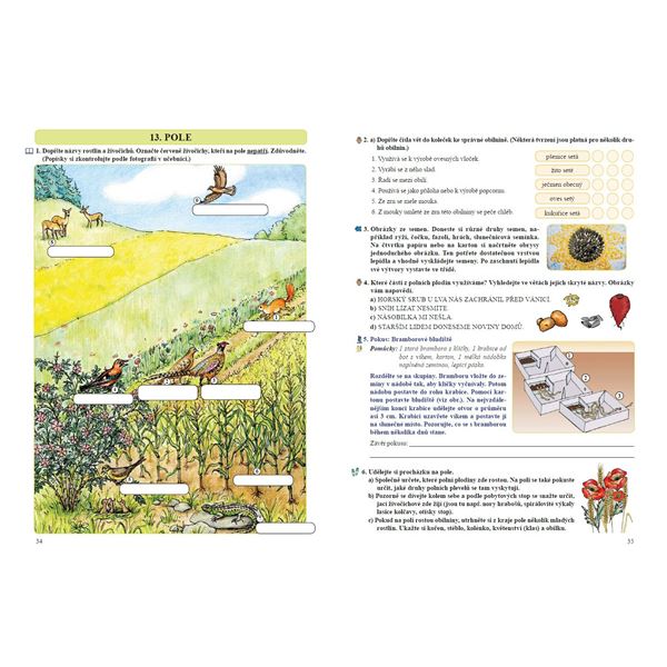 Přírodověda 4 - Pracovní sešit, Čtení s porozuměním