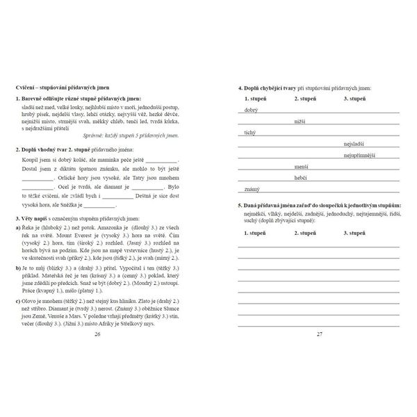 Pravopis přídavných jmen - pracovní sešit