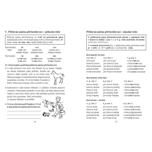 Pravopis přídavných jmen - pracovní sešit