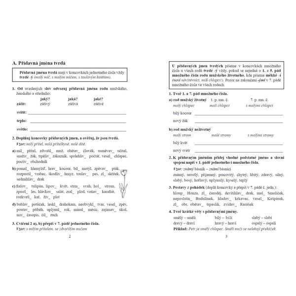 Pravopis přídavných jmen - pracovní sešit