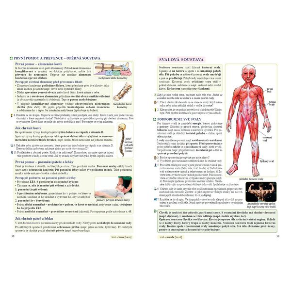 Přírodověda 5 - učebnice, Čtení s porozuměním