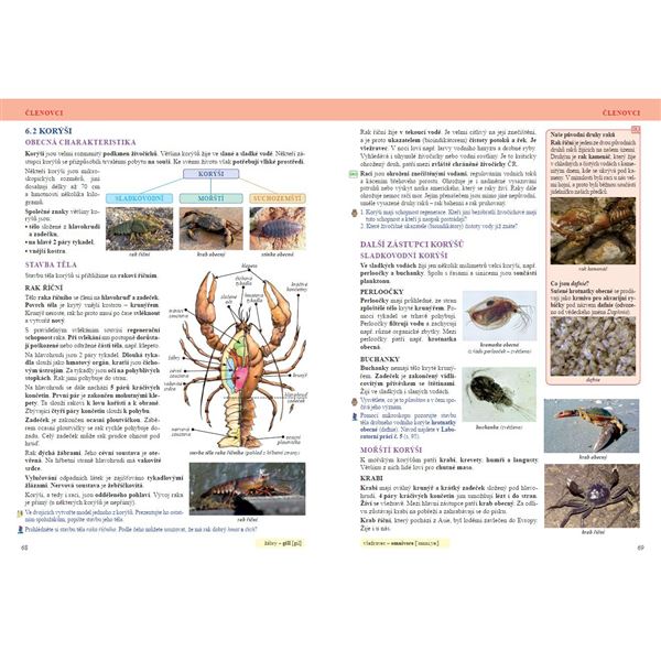 Přírodopis 6 - Úvod do přírodopisu - učebnice, Čtení s porozuměním