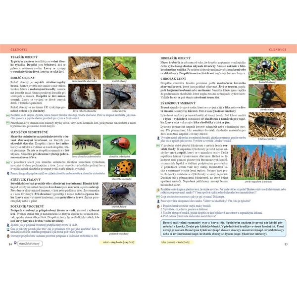 Přírodopis 6 - Úvod do přírodopisu - učebnice, Čtení s porozuměním