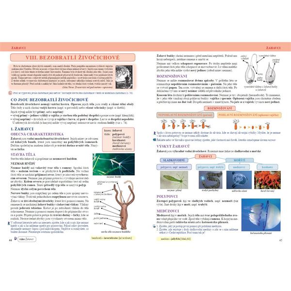 Přírodopis 6 - Úvod do přírodopisu - učebnice, Čtení s porozuměním