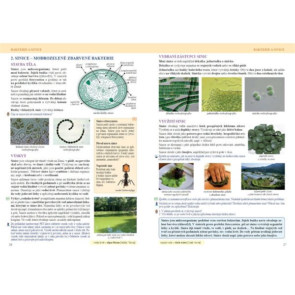 Přírodopis 6 - Úvod do přírodopisu - učebnice, Čtení s porozuměním