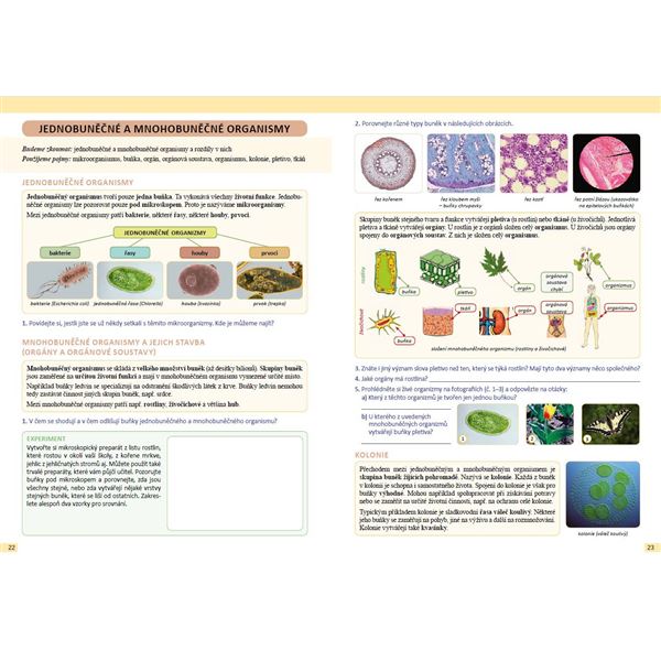 Přírodopis 6 - Člověk a příroda - pracovní učebnice