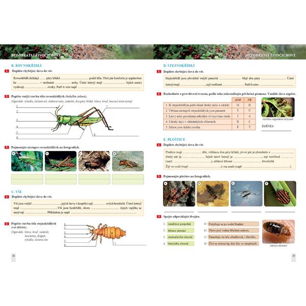Přírodopis 6 - Úvod do přírodopisu - pracovní sešit, Čtení s porozuměním