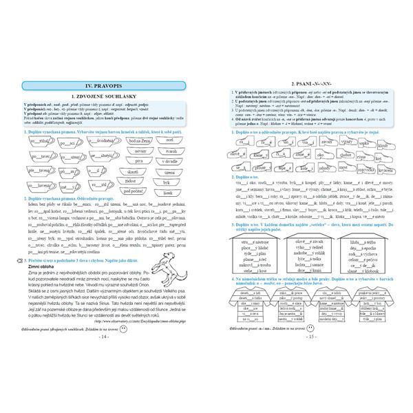 Procvičujeme češtinu v 6. ročníku - pracovní sešit, Čtení s porozuměním