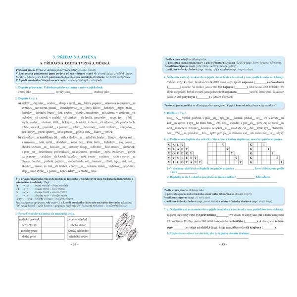 Procvičujeme češtinu v 6. ročníku - pracovní sešit, Čtení s porozuměním