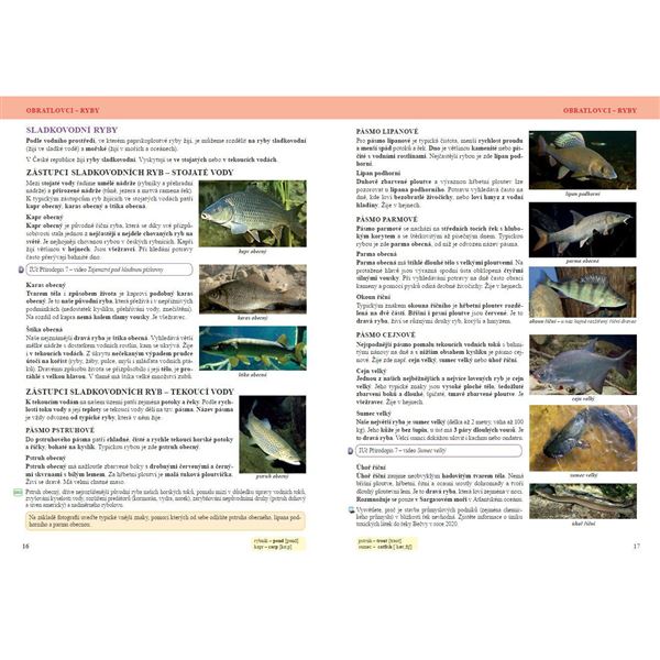 Přírodopis 7 - Zoologie a botanika - učebnice, Čtení s porozuměním