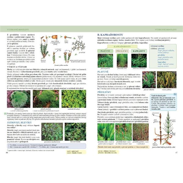 Přírodopis 7 - Zoologie a botanika - učebnice, Čtení s porozuměním