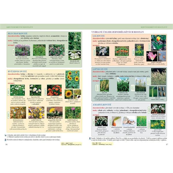 Přírodopis 7 - Zoologie a botanika - učebnice, Čtení s porozuměním