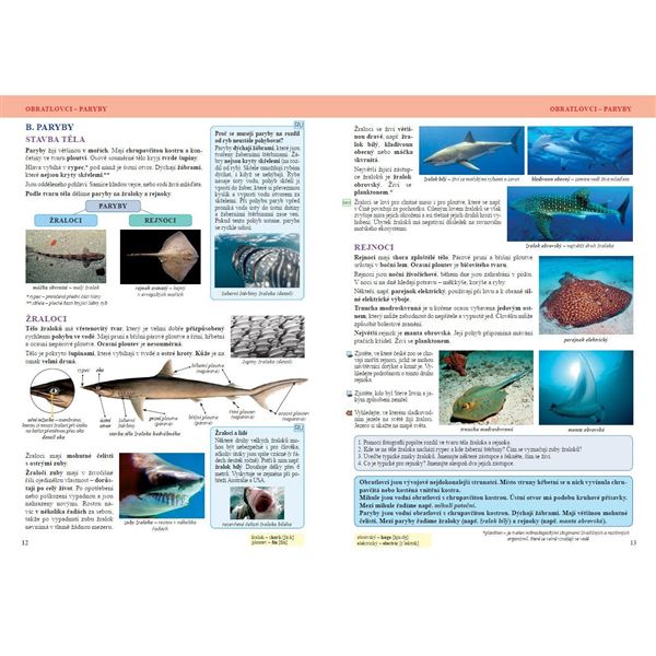 Přírodopis 7 - Zoologie a botanika - učebnice, Čtení s porozuměním