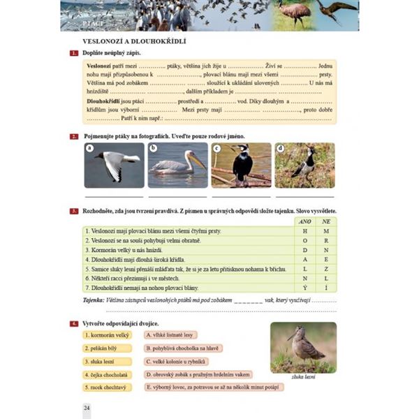 Přírodopis 7 - Zoologie a botanika - pracovní sešit, Čtení s porozuměním
