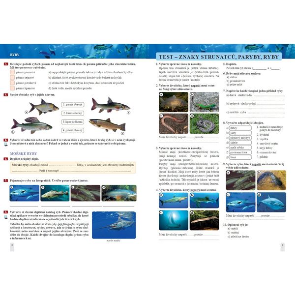 Přírodopis 7 - Zoologie a botanika - pracovní sešit, Čtení s porozuměním