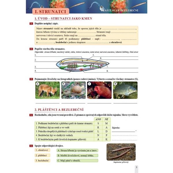 Přírodopis 7 - Zoologie a botanika - pracovní sešit, Čtení s porozuměním