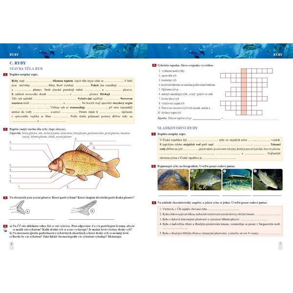 Přírodopis 7 - Zoologie a botanika - pracovní sešit, Čtení s porozuměním